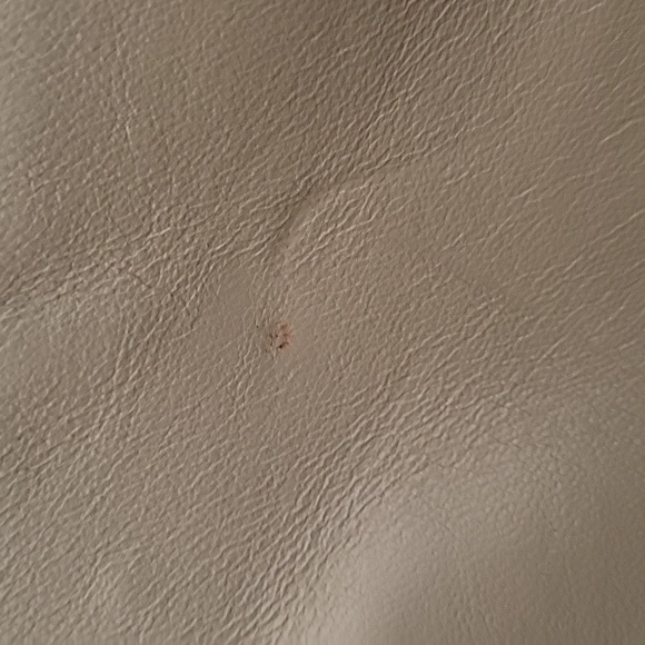 Celine Medium Phantom Beige/Tan Leather Tote - Picture 11 of 11